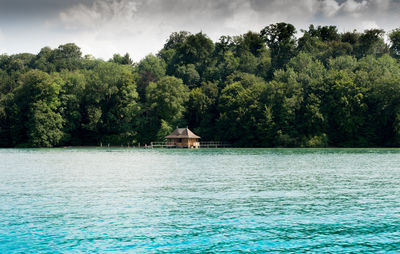 Scenic view of trees by plants against sky