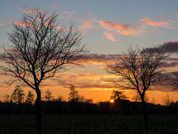 Silhouette bare tree on field against orange sky