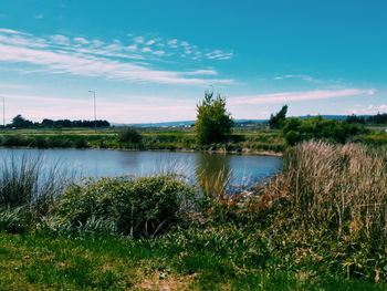 Calm countryside lake against plants