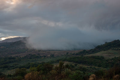 environment