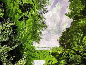 Close-up of fresh green trees against sky