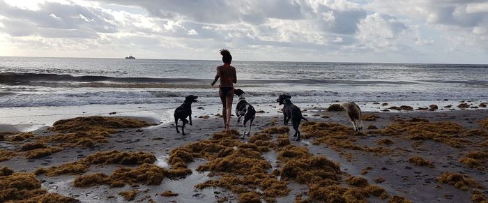 Rear view of woman running with dogs on shore at beach against sky