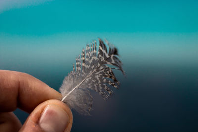 Close-up of hand holding leaf against sea