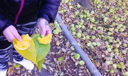 High angle view of woman holding fruit