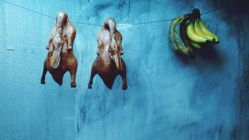 Close-up of fruits hanging on blue surface