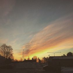 Silhouette of trees at sunset