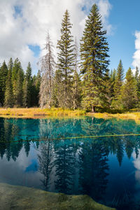 Scenic view of lake by trees against sky