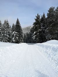 Snow covered land and trees against sky