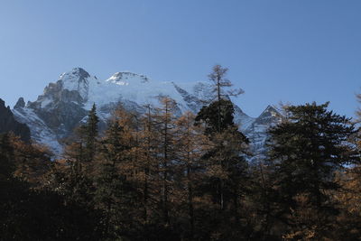 Low angle view of snowcapped mountain against sky
