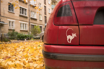 Close-up of red car