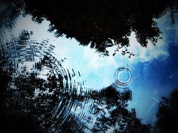 Reflection of trees in water