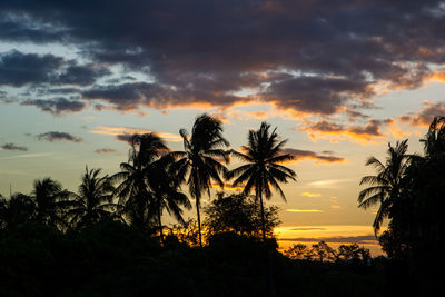 Silhouette palm trees against dramatic sky during sunset