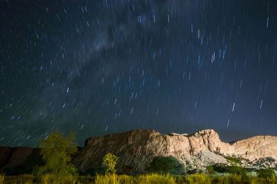 Low angle view of star field against sky at night