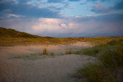 Scenic view of field against sky during sunset