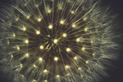 Low angle view of firework display at night