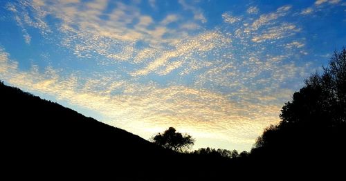 Low angle view of silhouette trees against sky