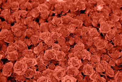 Full frame shot of abstract background