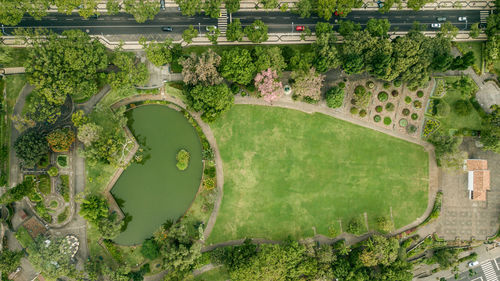 High angle view of road amidst trees