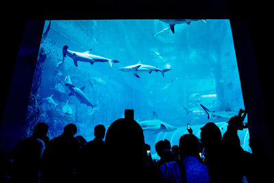 Group of people swimming in aquarium