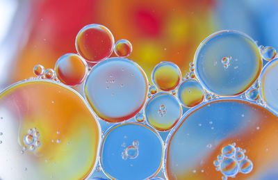 Macrophotography of oil droplets in water against a colourful background