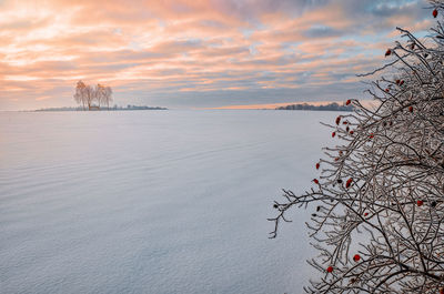 Scenic view of sea against sky during winter