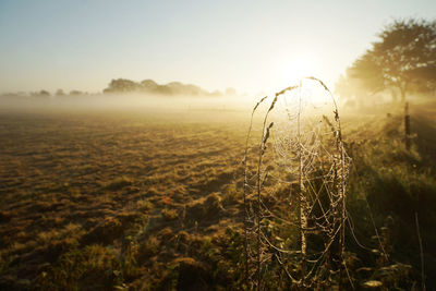 Scenic view of landscape against sky