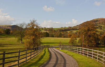 Path on the countryside in north wales