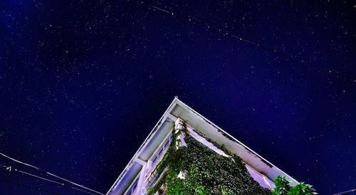 Low angle view of trees against blue sky at night