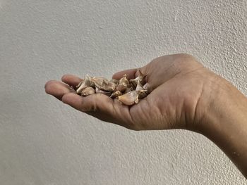 Close-up of hand holding ice cream against wall