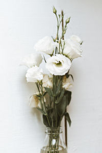 Close-up of white flowers in vase