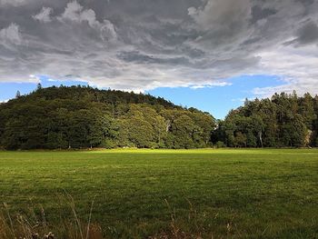 Scenic view of field against sky