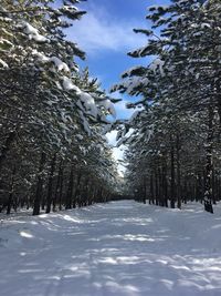 winter