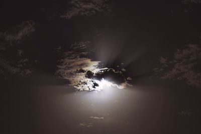 View of trees against sky