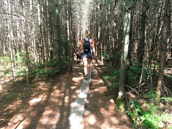 Full length rear view of man walking in forest