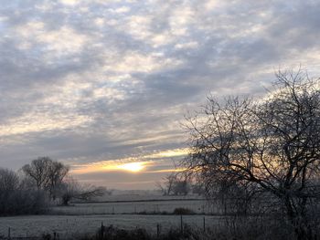 Bare trees on field against sky during sunset