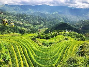 Scenic view of agricultural field against mountains