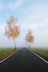 Empty road amidst trees against sky