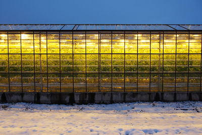 Plants growing in greenhouse against sky