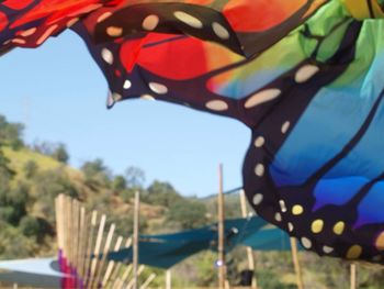 Close-up of multi colored umbrella against sea