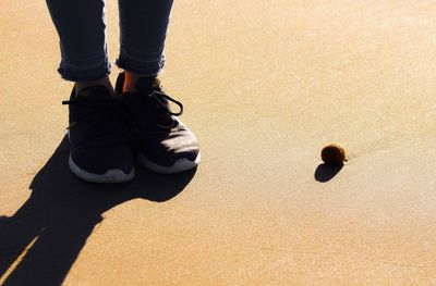 Low section of person standing by sea urchin on sand