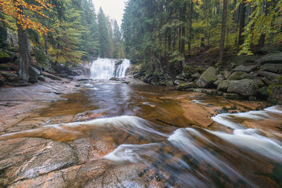 Scenic view of waterfall in forest