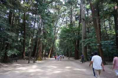 Rear view of people walking on footpath in forest