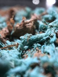 Full frame shot of ice cream during winter