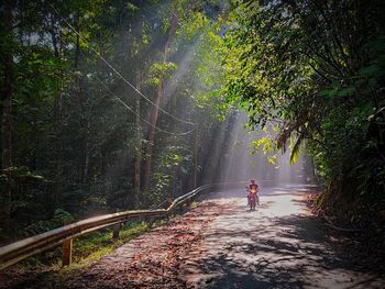 Rear view of person riding bicycle in forest