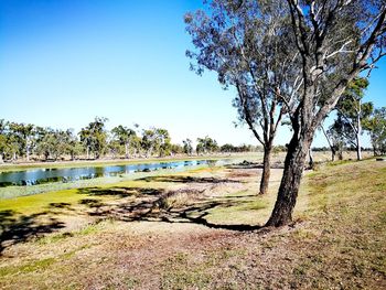 Scenic view of lake against clear sky