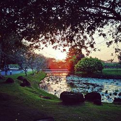 Scenic view of landscape at sunset