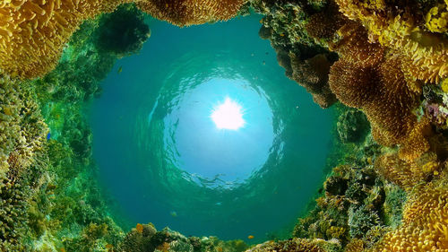 water