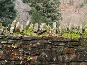 Trees against stone wall