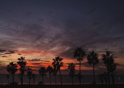 Silhouette palm trees on beach against sky at sunset