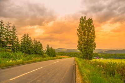 Road amidst trees against sky during sunset